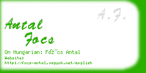 antal focs business card